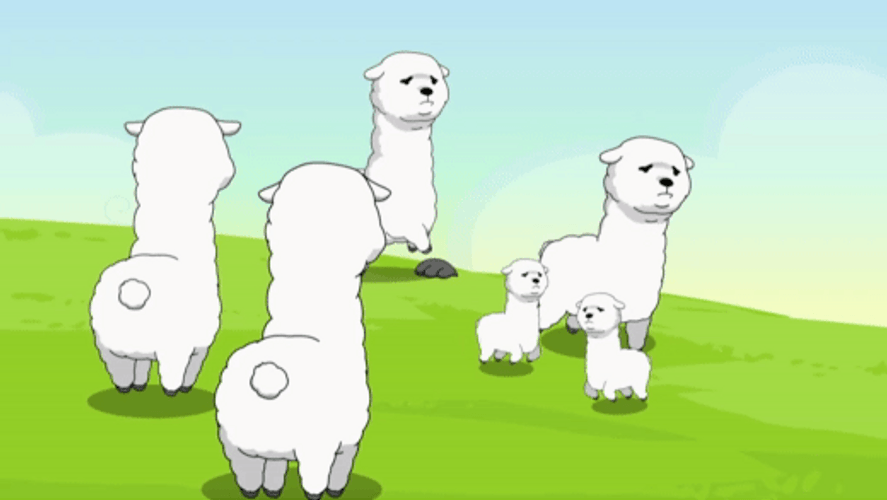 Alpacas Bouncing In Hill GIF