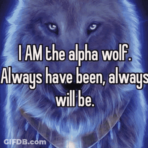 Alpha Wolf Always Has Been GIF