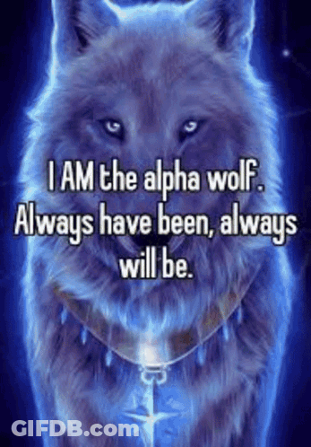 Alpha Wolf Quote GIF