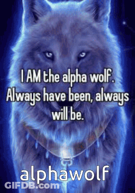 Alpha Wolf Quote I Am The Alpha GIF
