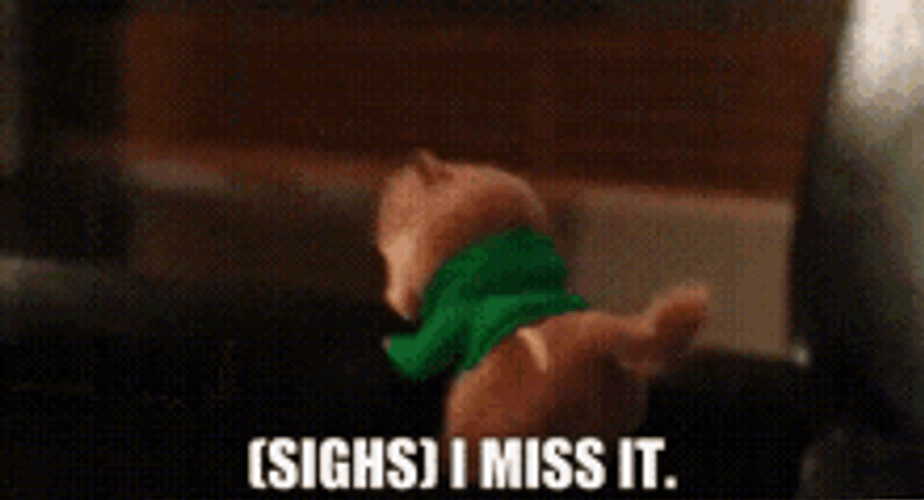 Alvin And The Chipmunks Theodore Miss Reaction GIF