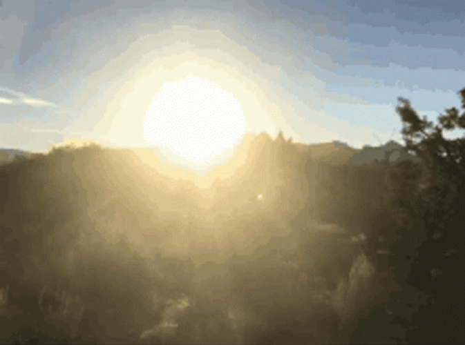 Always Enjoy Sunny Day GIF