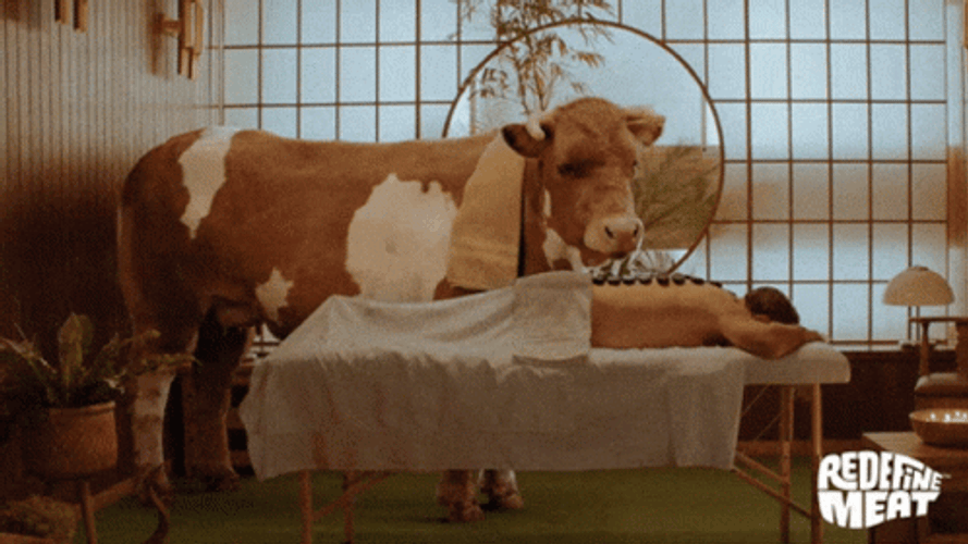 Always Happy To Help Out A Homie Cow GIF