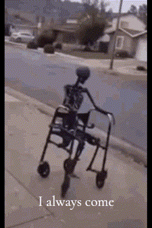 Always Skeleton Riding A Wheel Chair GIF