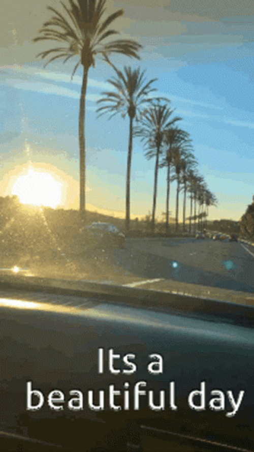 Always Sunny It's A Beautiful Day GIF