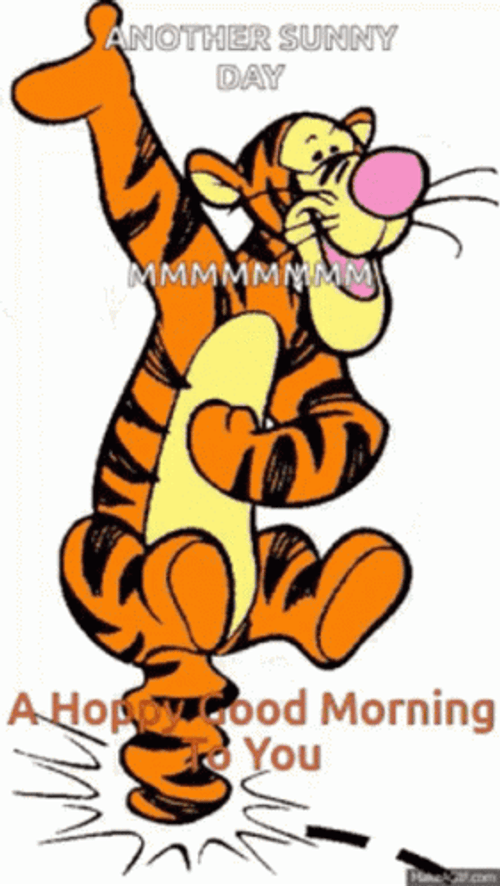 Always Sunny Morning With Tiger GIF
