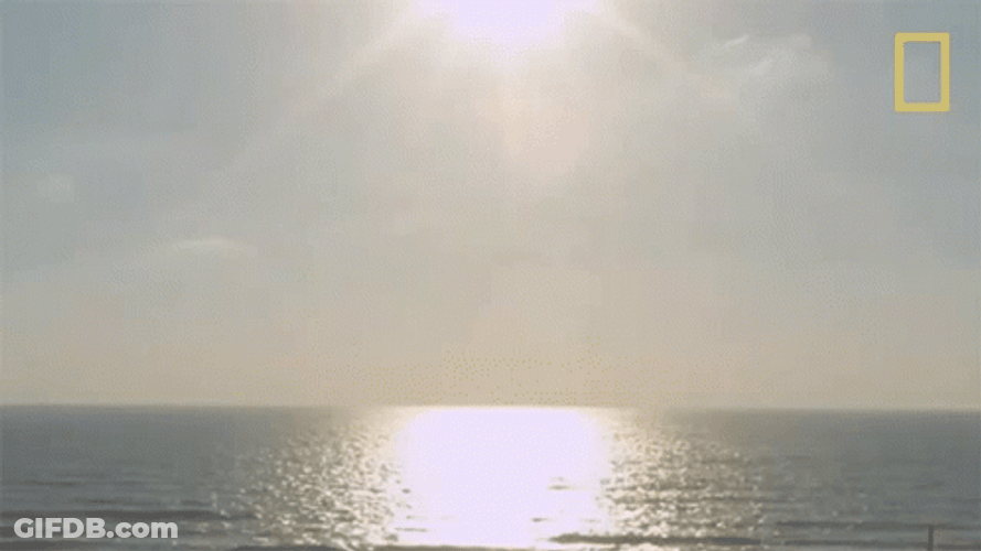 Always Sunny On The Oceans GIF