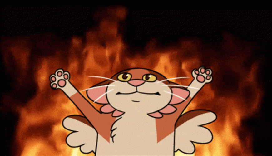 Amaru The Cat On Fire GIF