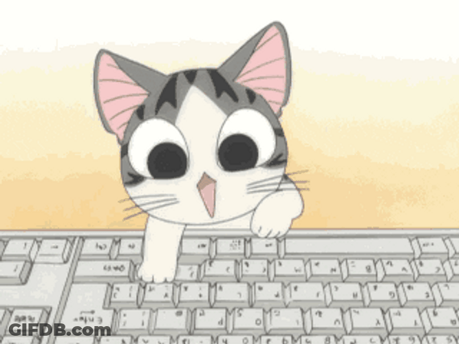 Amazed Cat Typing And Downloading GIF