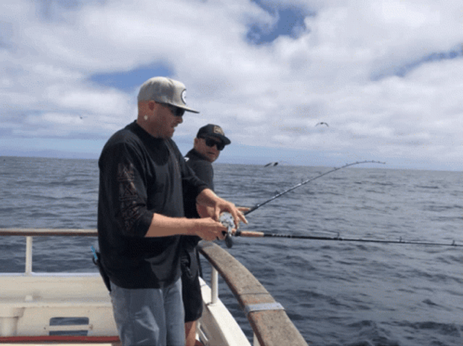 Amazed Man Fishing GIF