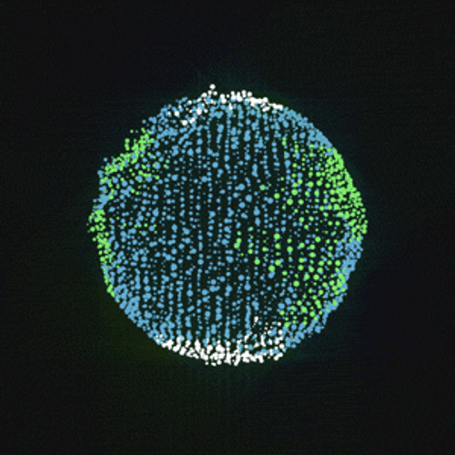 Amazing Art Globe Spinning GIF