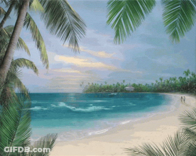 Amazing Beach In Hawaii GIF