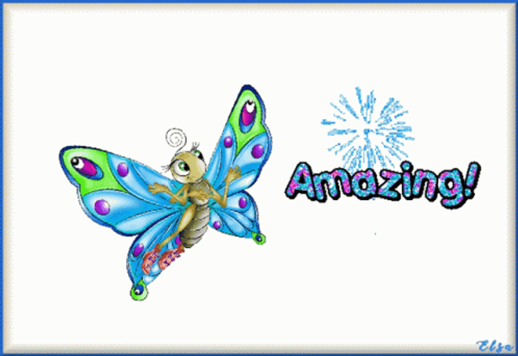 Amazing Cute Butterfly GIF