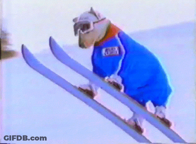 Amazing Dog Skiing Flying GIF