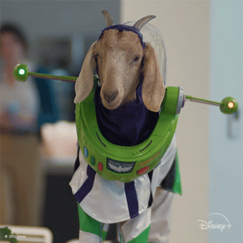 Amazing Green Goat Meme GIF