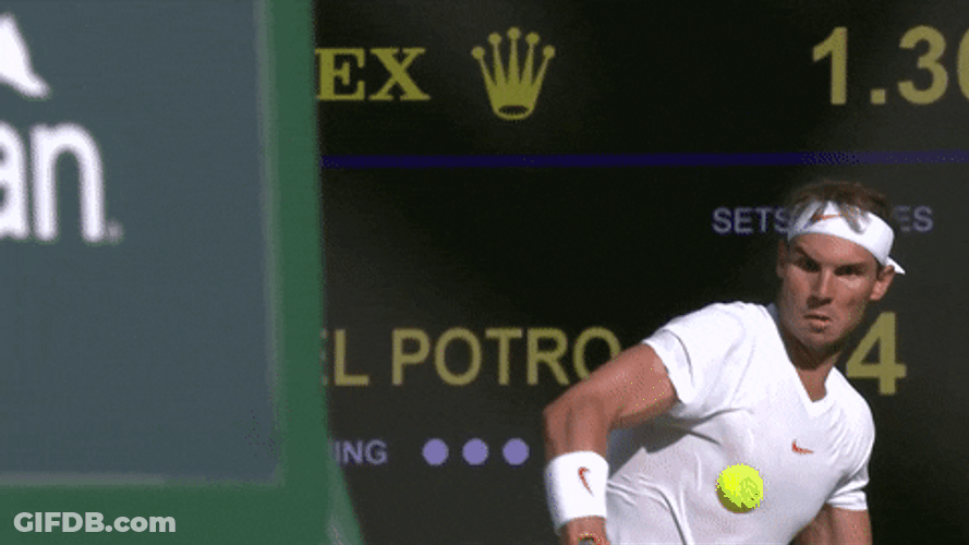 Amazing Left Handed Male Tennis Player GIF