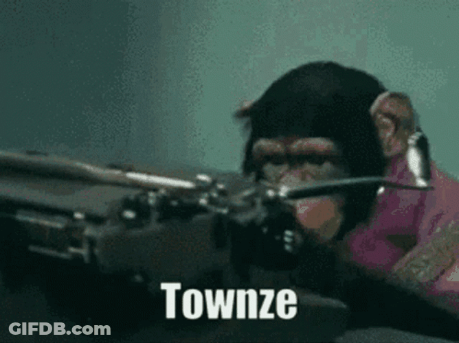 Amazing Monkey Typing Speed GIF