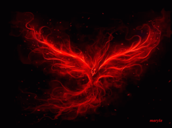 Amazing Phoenix Graphic Design GIF
