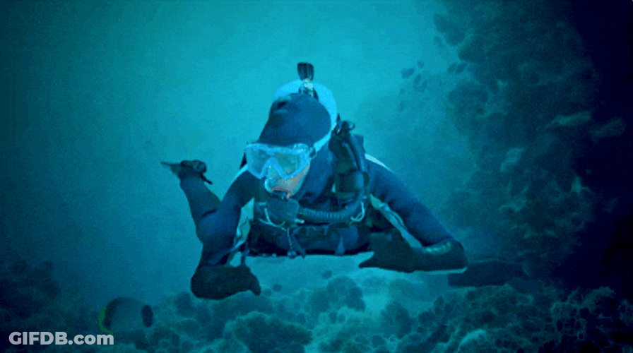 Amazing Scuba Steve GIF