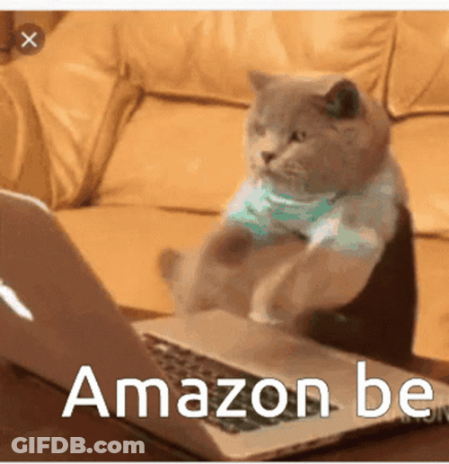 Amazon Be Like Frantic Cat Typing GIF