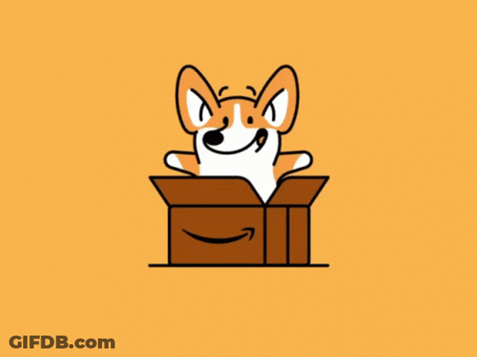 Amazon Box Corgi Surprise GIF