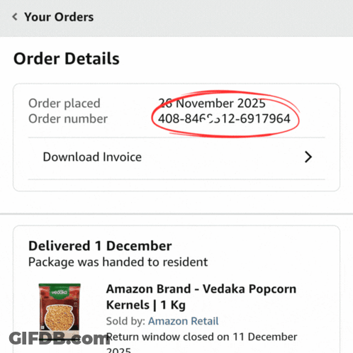 Amazon Order Placed November 26 2025 GIF