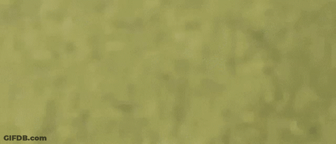 Amazon Prime Day Delivery Truck Animation GIF