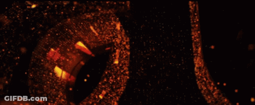 Amazon Studios Logo On Dark Background GIF