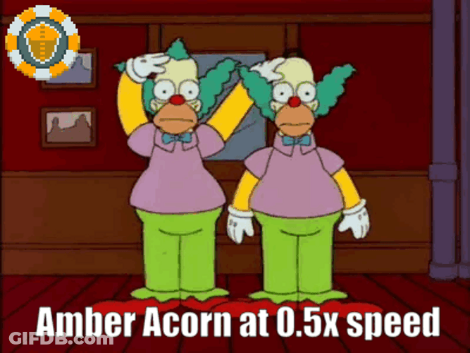 Amber Acorn Point Five Speed GIF