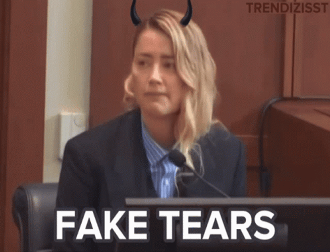 Amber Heard Fake Tears GIF