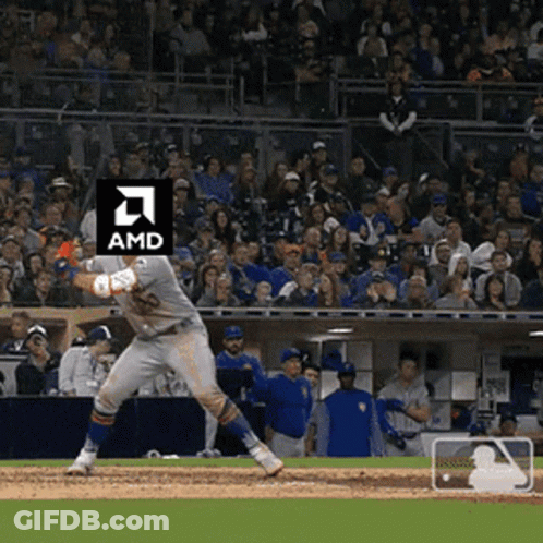 Amd Intel GIF