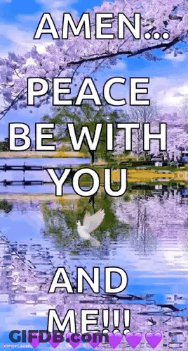 Amen Peace Dove In Water GIF