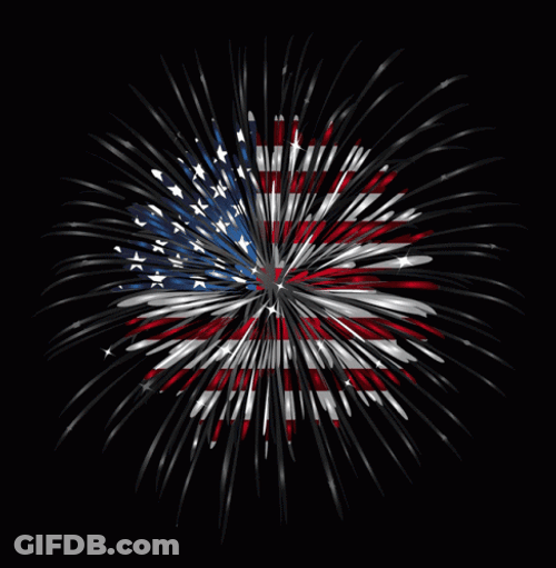 America Fireworks Meme GIF