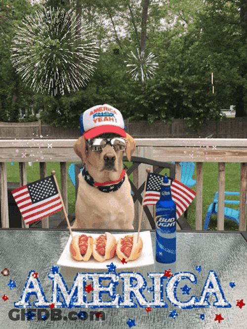 America Independence Day GIF