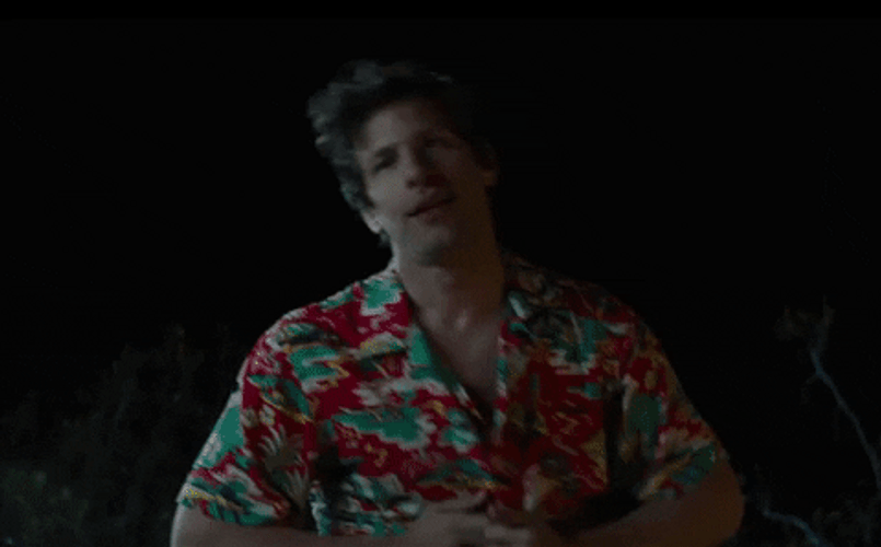 American Actor Andy Samberg Noice GIF