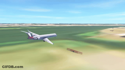 American Airlines Plane Flying Over Field GIF