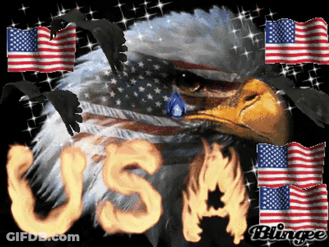 American Eagle Crying Merica Murica GIF