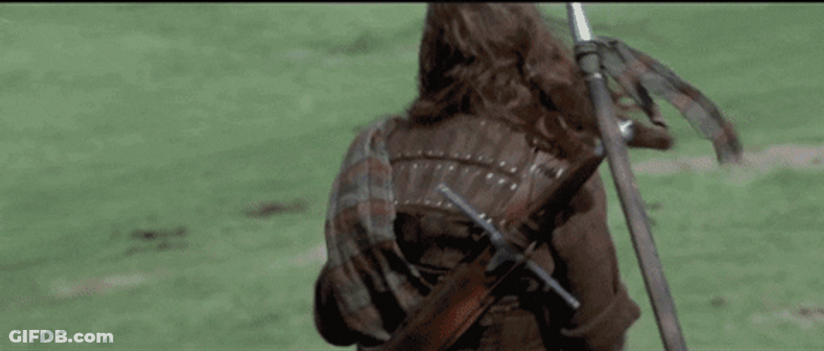 American Eagle Takes Freedom GIF