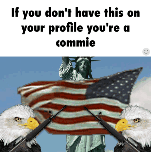 American Eagles Holding Guns Merica Murica GIF