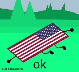 American Flag Arms Legs Laying On Ground Saying Ok GIF