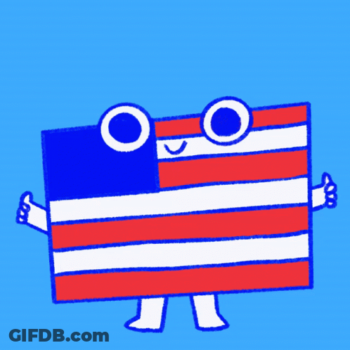 American Flag Cartoon With We Got This GIF
