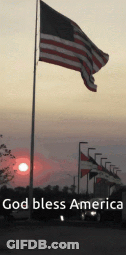 American Flag Cross Gun All Gave Some GIF