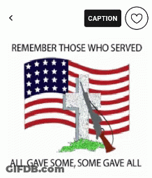 American Flag Cross Rifle All Gave Some Some Gave All GIF