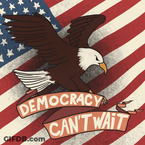 American Flag Eagle Democracy Can T Wait Banner GIF
