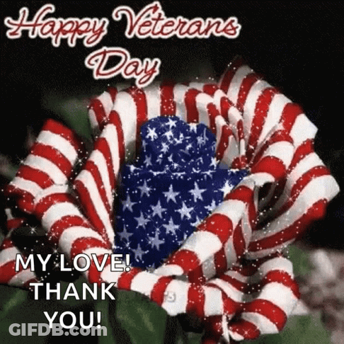 American Flag Flower Happy Veterans Day My Love Thank You GIF