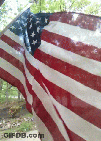 American Flag Flying In Wind With Trees GIF