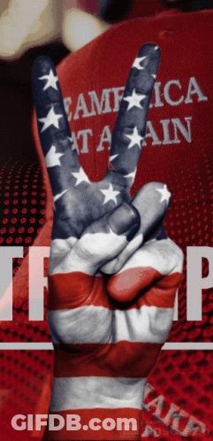American Flag Hand Giving Peace Sign GIF