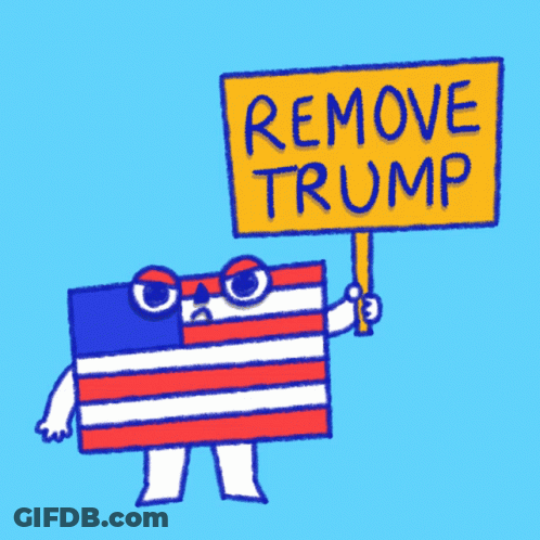 American Flag Holding Remove Trump Sign GIF