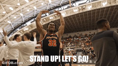 American Flag Protect The Democracy GIF