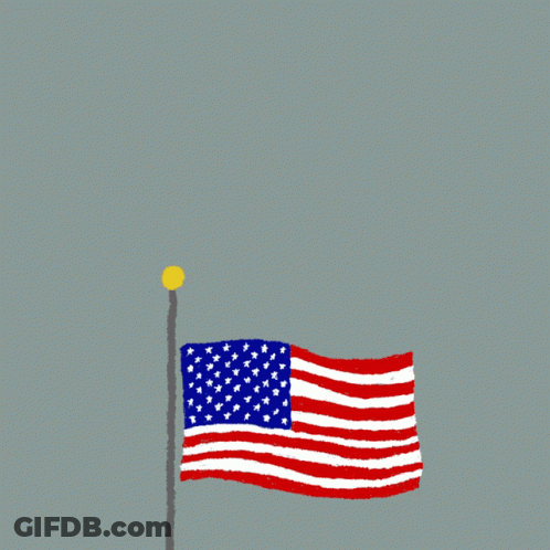 American Flag Protect The Democracy They Fought And Died For GIF